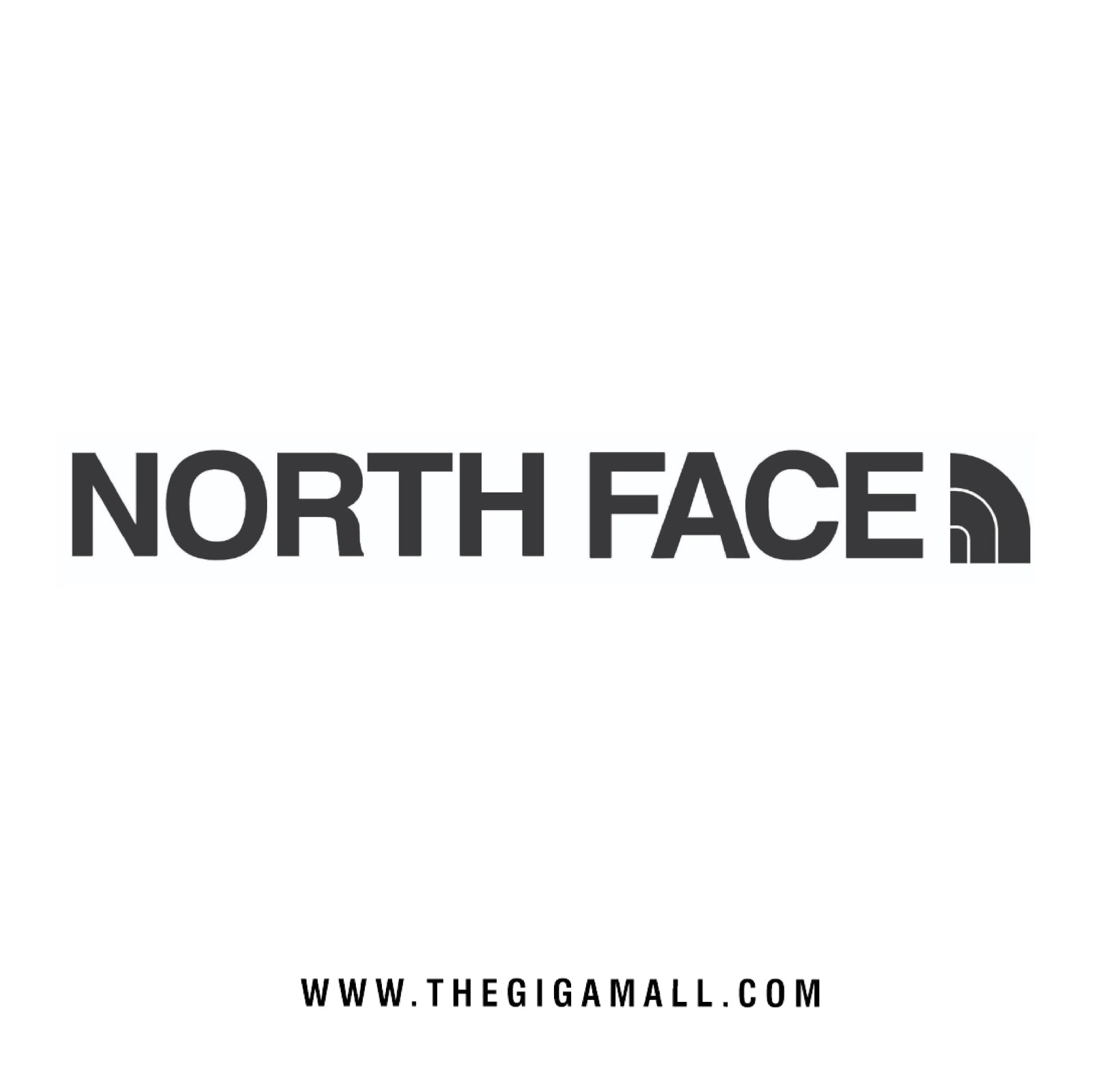 North Face-giga-mall